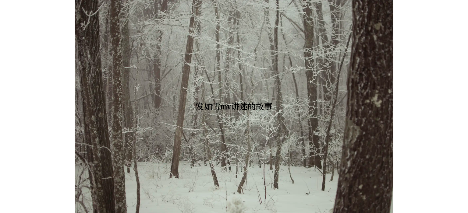 发如雪mv讲述的故事