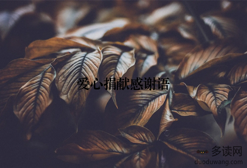 爱心捐献感谢语