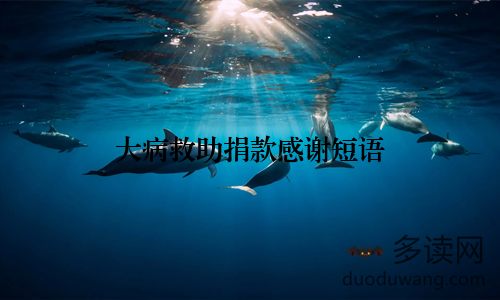 大病救助捐款感谢短语