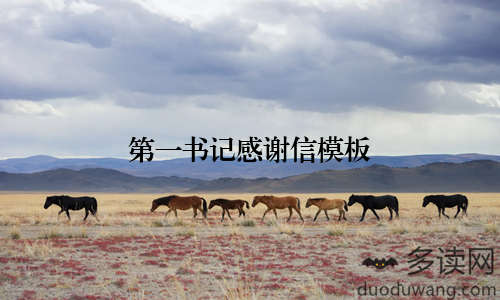 第一书记感谢信模板