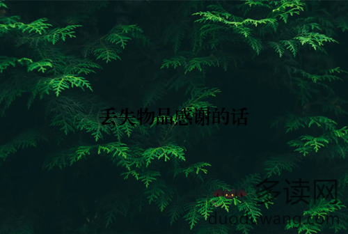 丢失物品感谢的话