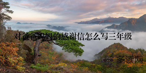对爸爸妈妈的感谢信怎么写三年级