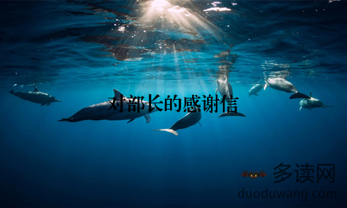 对部长的感谢信