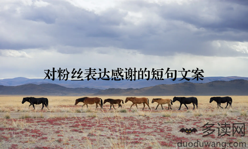 对粉丝表达感谢的短句文案