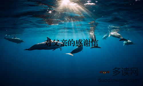 对父亲的感谢信