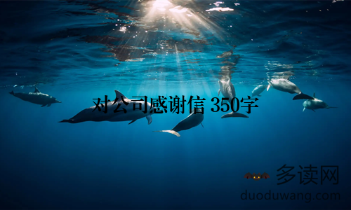 对公司感谢信 350字