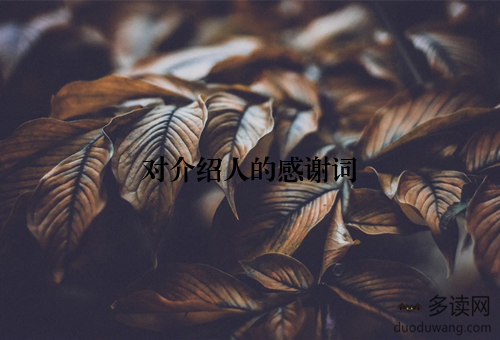 对介绍人的感谢词