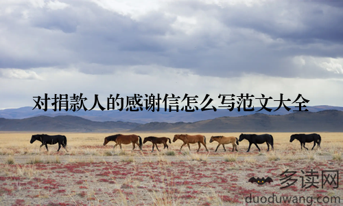 对捐款人的感谢信怎么写范文大全