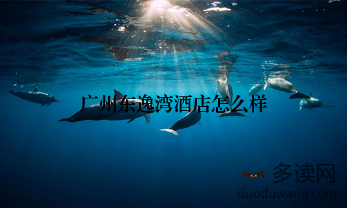 广州东逸湾酒店怎么样