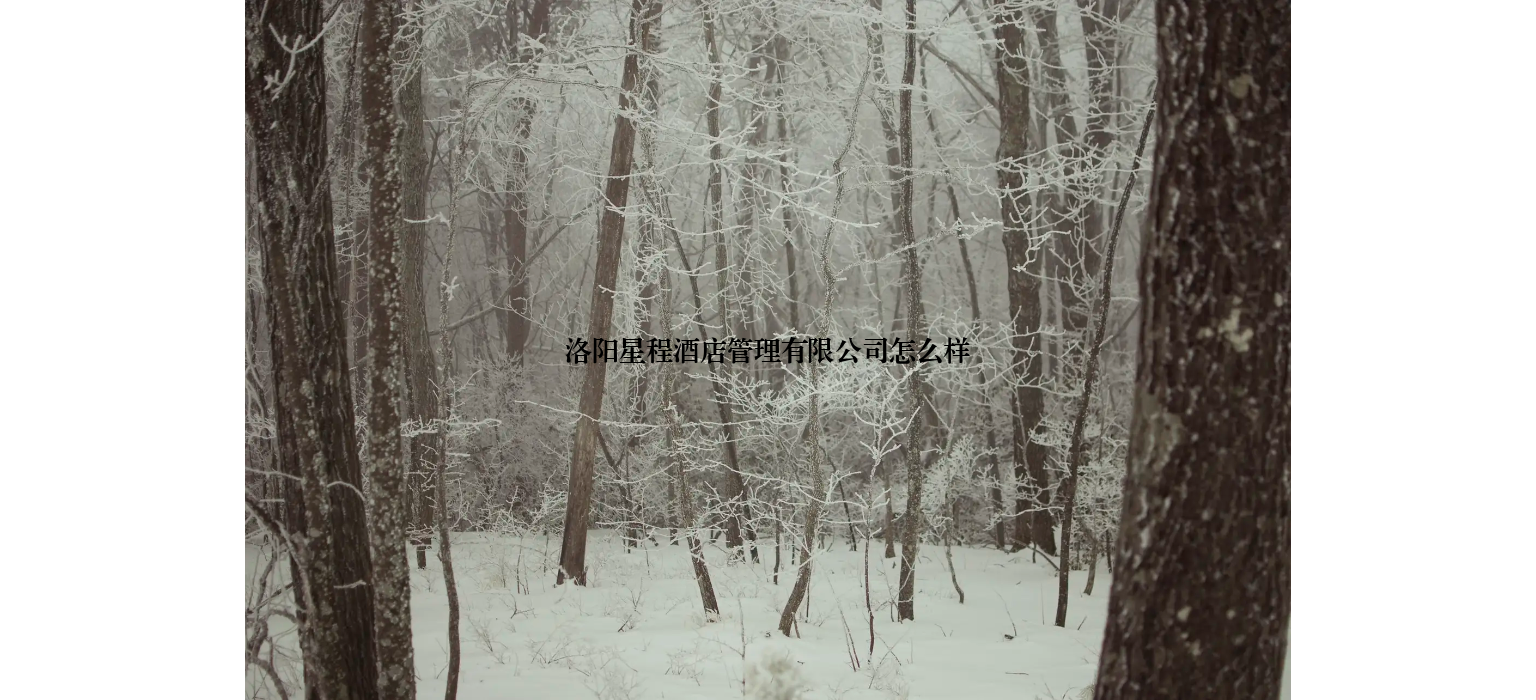 洛阳星程酒店管理有限公司怎么样