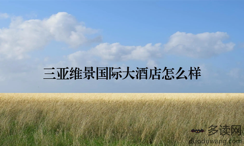 三亚维景国际大酒店怎么样