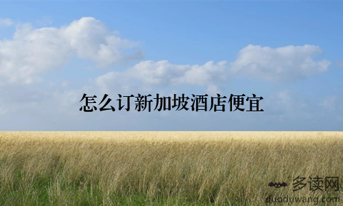 怎么订新加坡酒店便宜