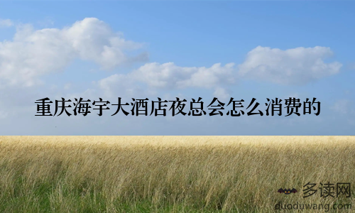 重庆海宇大酒店夜总会怎么消费的