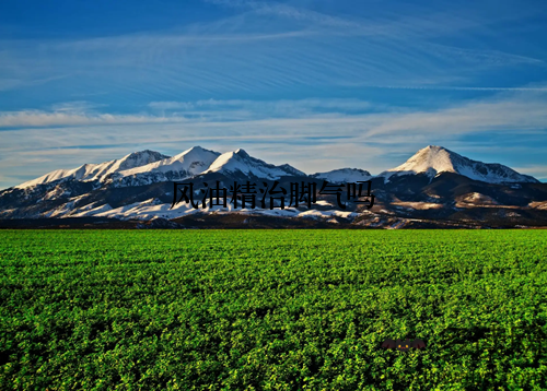 风油精治脚气吗