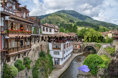 湿气重的人怎么排湿减肥才能瘦