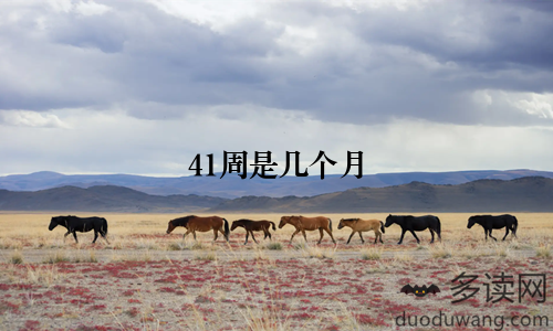 41周是几个月