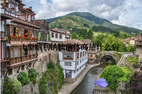 b型脑利钠肽前体高是什么病