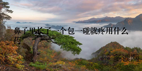 鼻子里长了一个包一碰就疼用什么药