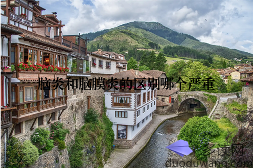 脑炎和脑膜炎的区别哪个严重