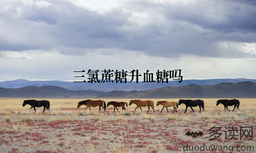 三氯蔗糖升血糖吗