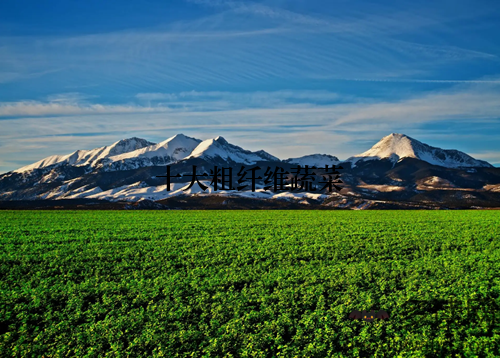 十大粗纤维蔬菜