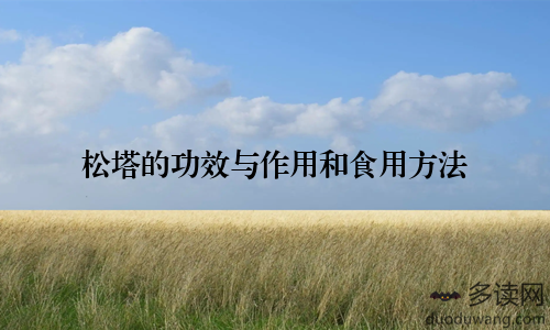 松塔的功效与作用和食用方法