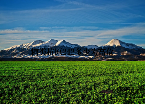 糖类抗原242多少为高危