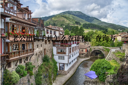 老公出轨手机怎么查证据,查询方法