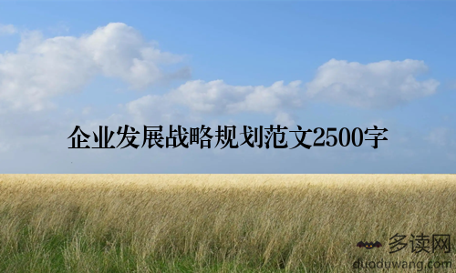企业发展战略规划范文2500字