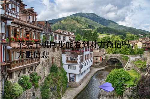 苹果手机同步能看到对方微信吗，方法信息