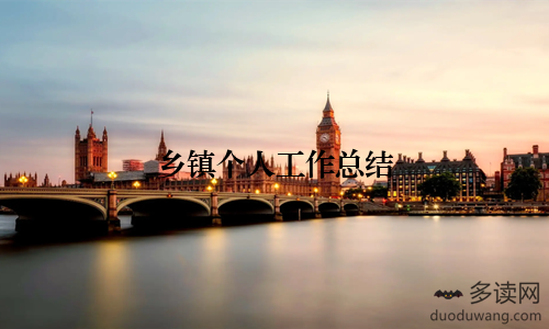 乡镇个人工作总结