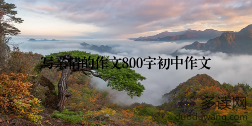 写亲情的作文800字初中作文