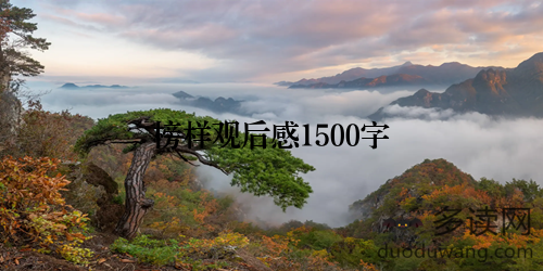 榜样观后感1500字