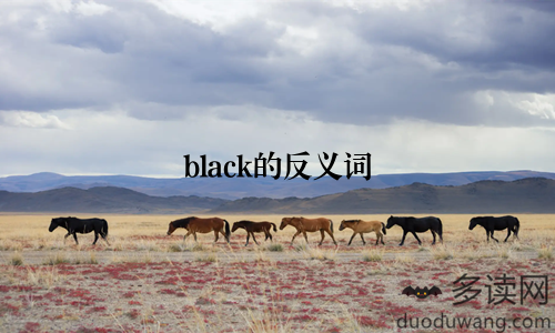 black的反义词