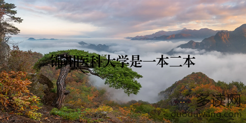 锦州医科大学是一本二本