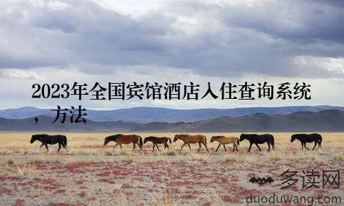 2023年全国宾馆酒店入住查询系统，方法