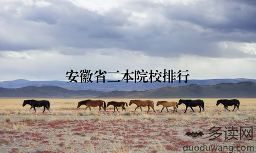安徽省二本院校排行