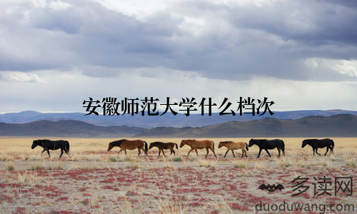 安徽师范大学什么档次