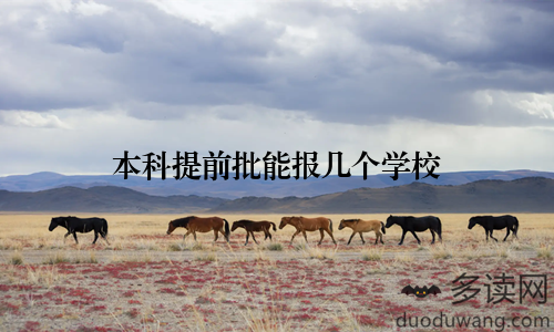 本科提前批能报几个学校