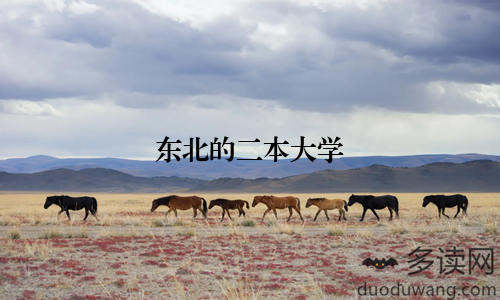 东北的二本大学