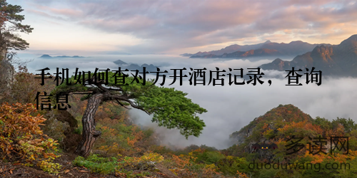手机如何查对方开酒店记录，查询信息