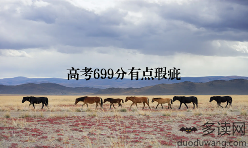 高考699分有点瑕疵