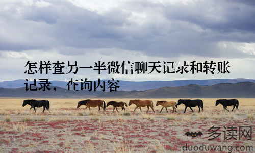 怎样查另一半微信聊天记录和转账记录，查询内容