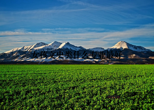 女孩文史类什么专业最好