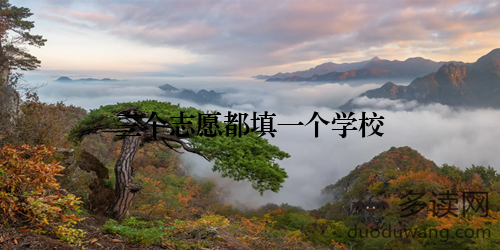 三个志愿都填一个学校