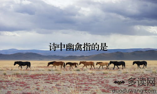 诗中幽禽指的是