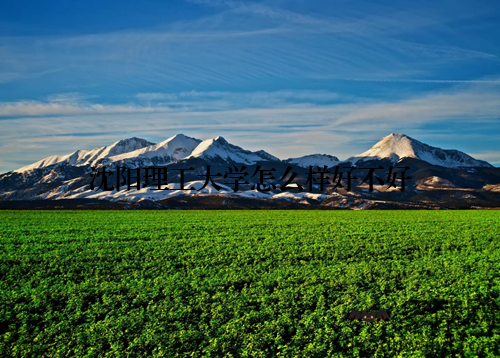 沈阳理工大学怎么样好不好