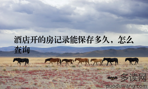 酒店开的房记录能保存多久，怎么查询