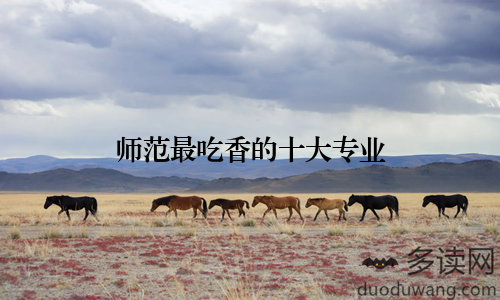 师范最吃香的十大专业