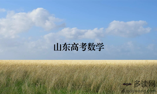 山东高考数学